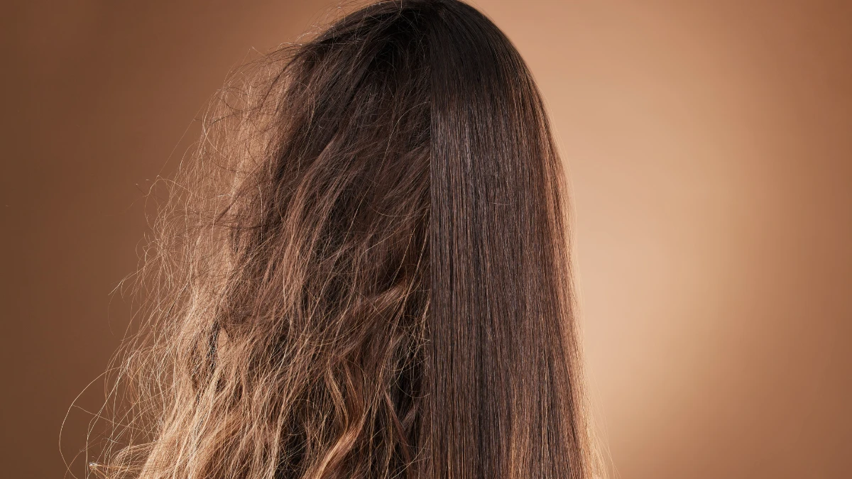 Frizzy Hair Guide