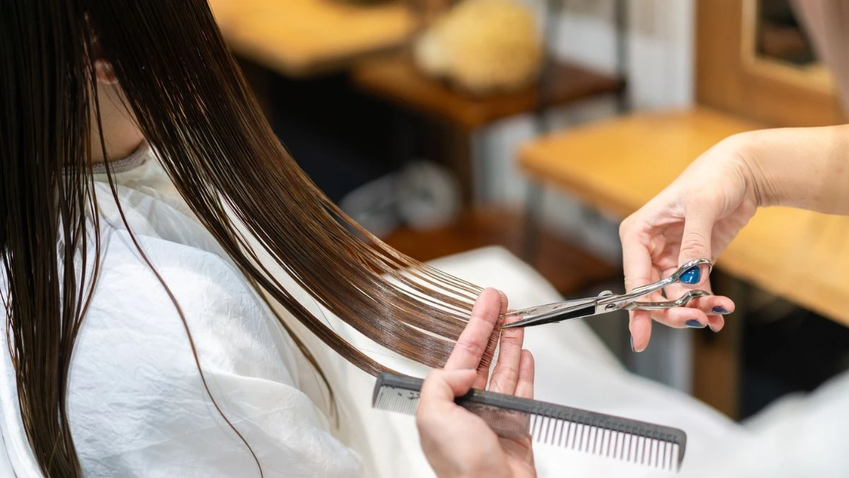 Haircuts for Ladies with Long Hair