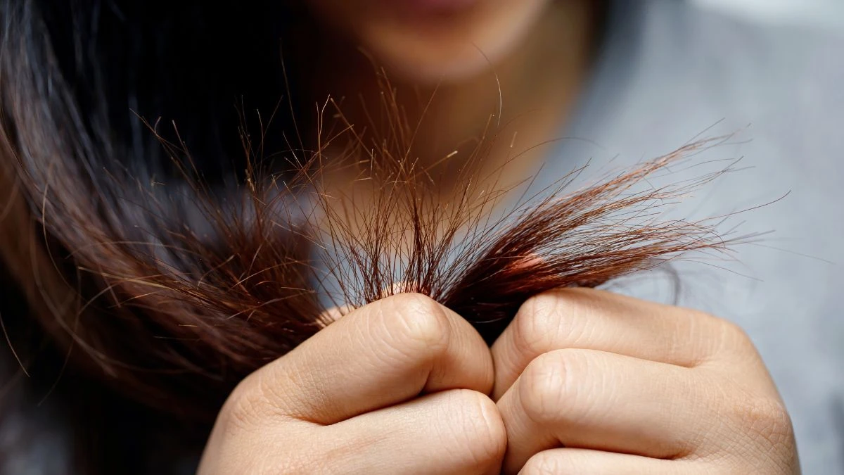 How to Get Rid of Split Ends: Causes, Effective Treatments